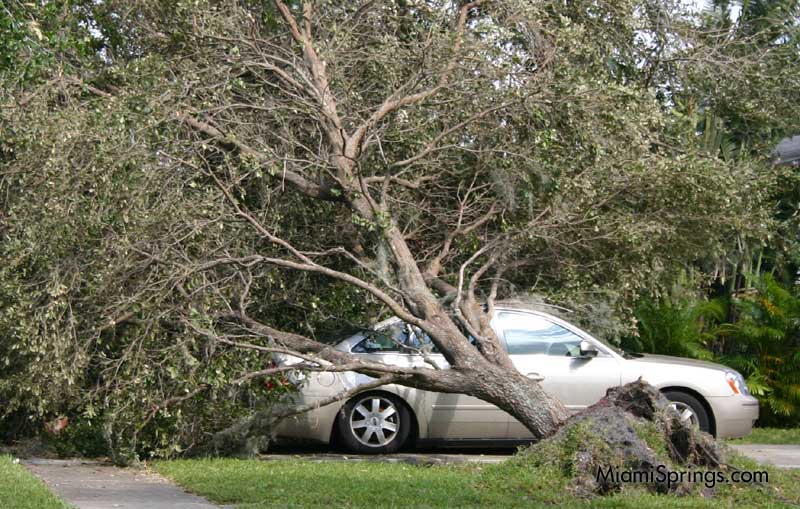 Hurricane Wilma 2005