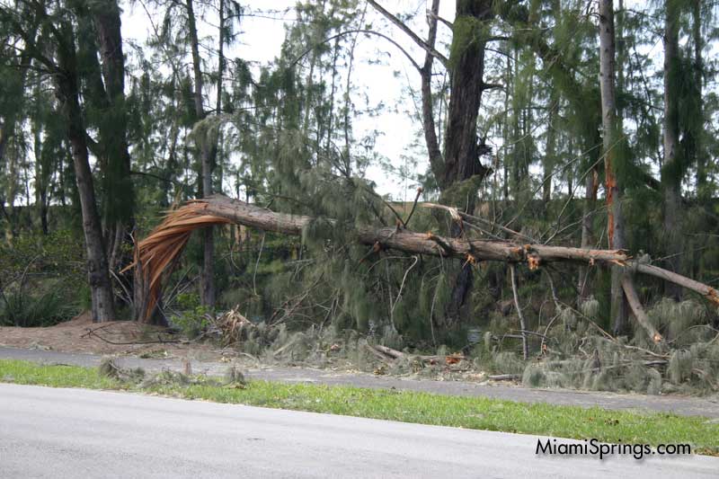 Hurricane Wilma 2005
