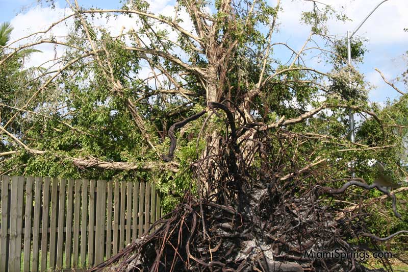 Hurricane Wilma 2005