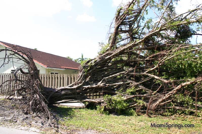 Hurricane Wilma 2005