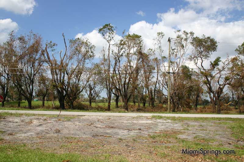 Hurricane Wilma 2005