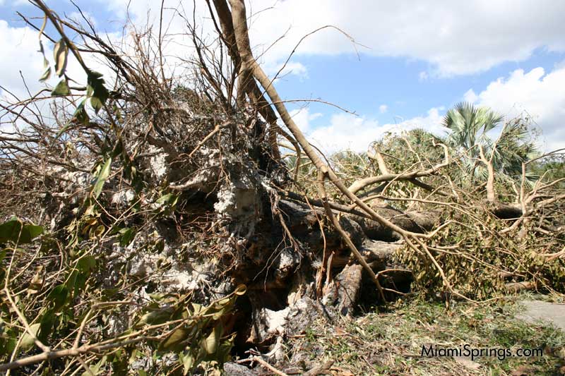 Hurricane Wilma 2005