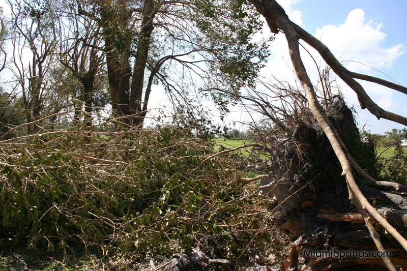 Hurricane Wilma 2005