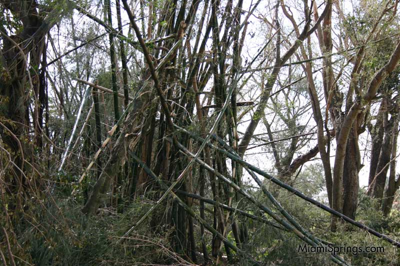 Hurricane Wilma 2005