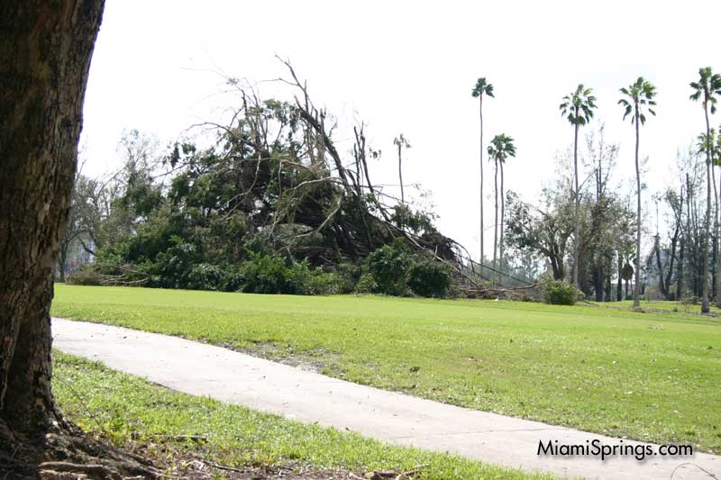 Hurricane Wilma 2005