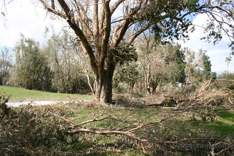 Hurricane Wilma 2005