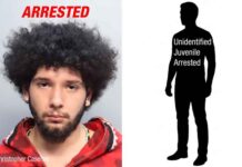 15 Cars Burglarized – Suspects Arrested