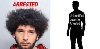 15 Cars Burglarized – Suspects Arrested