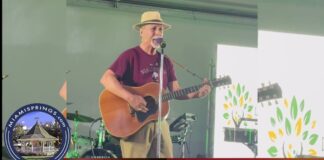 In Miami Springs by Buzz Fleischman