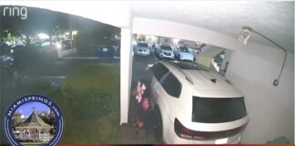 Suspects Caught on Camera Checking for Unlocked Cars
