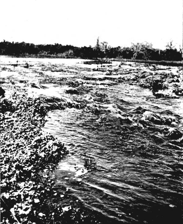 Miami River Rapids: Rapids on the Miami River, 1896, State Archives of Florida, Florida Memory