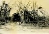 The Storm That Broke the Boom: The Great Miami Hurricane of 1926 and its Devastating Toll on Miami Springs, Hialeah, and Greater Miami 1926 Miami Hurricane wind damage showing shredded trees and flattened structures