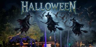 Spooktacular Halloween Season in Miami Springs: A Full Guide to Spooky Family Fun! Halloween in Miami Springs