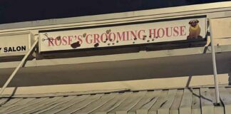 Court Dismisses Case Against Rose’s Grooming House Over Dog’s Death; Medical Findings Confirm No Negligence Rose's Dog Grooming