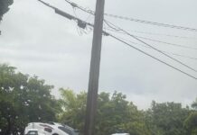 Residential Streets Are No-Thru Truck Zones: Commercial Semi-Trucks Cutting Through Miami Springs A massive commercial multi-car hauler truck carrying white Waymo self-driving Jaguar I-PACE SUVs driving down a quiet, canopy-lined residential street in Miami Springs, Florida