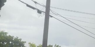 Residential Streets Are No-Thru Truck Zones: Commercial Semi-Trucks Cutting Through Miami Springs A massive commercial multi-car hauler truck carrying white Waymo self-driving Jaguar I-PACE SUVs driving down a quiet, canopy-lined residential street in Miami Springs, Florida