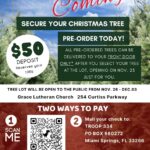 Troop 334 Christmas Tree Sale Pre-Order Flyer – 2026