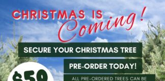 Christmas is Coming! Scouts America Troop 334 Opens Pre-Orders for Annual Christmas Tree Sale Scouts BSA Troop 334 Christmas Tree Sale pre-order flyer detailing lot opening on November 25, public sales November 26 to December 3, located at Grace Lutheran Church, and front door delivery options in Miami Springs and Virginia Gardens.