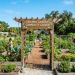 vg_community_garden_featured