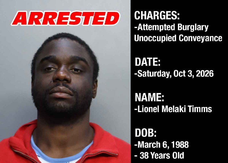 Lionel Melaki Timms arrest graphic