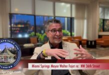 Interview: Miami Springs Mayor Walter Fajet Discusses NW 36th Street Zoning Changes